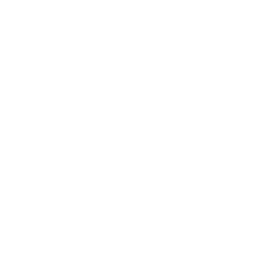 pirate-ship-icon